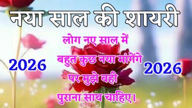 हैलो दोस्तो आप सभी का स्वागत है आज हम आपके लिए नया साल पर शायरी लेकर आए है