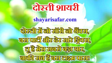 दिल से जुड़ी 4 लाइन की सबसे बेहतरीन दोस्ती शायरी ❤️