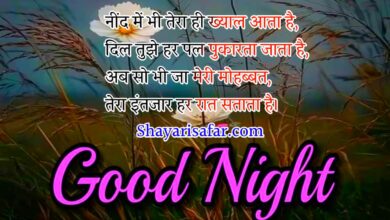 good night love shayari in hindi 4 line romantic shayari for girlfriend boyfriend