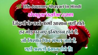ज़िंदगी के सफर पर दिल छू लेने वाली शायरी |