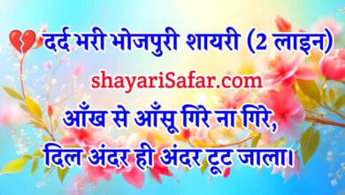2 लाइन, 4 लाइन, दर्द, तन्हाई और दिल टूटने वाली शायरी