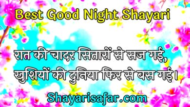 100+ दिल छू लेने वाली 2 लाइन गुड नाइट शायरी